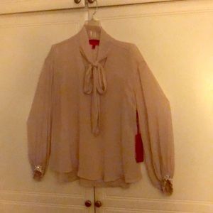 Lite Mauve Chiffon Blouse w/beaded wrist